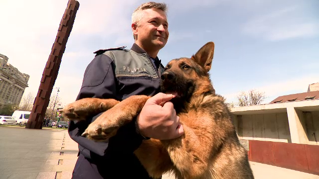 Singurul câine din România care poate să descopere cadavre înecate