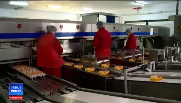 Românii mănâcă lunar 240 de milioane de ouă. Sfatul medicilor