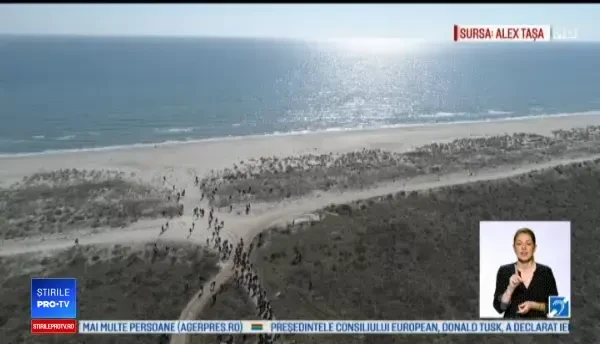 "Trashtag", provocarea virală și în România: "Am zis să luăm şi noi iniţiativa"