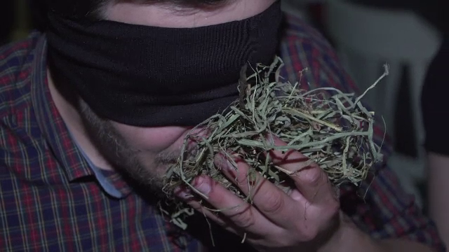 Reacţiile unor turişti care au luat cina legaţi la ochi, în Sibiu. "Miroase a fân"