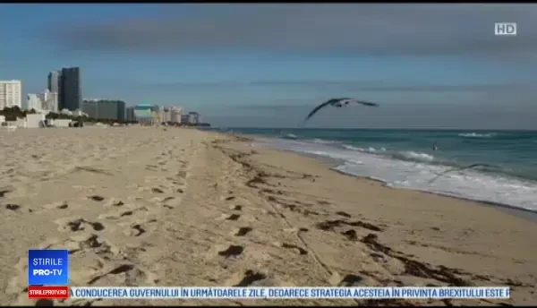 Motivul pentru care gravidele cu bani din Rusia aleg să nască în SUA. Reacţia lui Trump