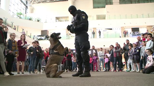 Cum au reacționat copiii la vederea unui câine polițist: "Și pisica la fel"