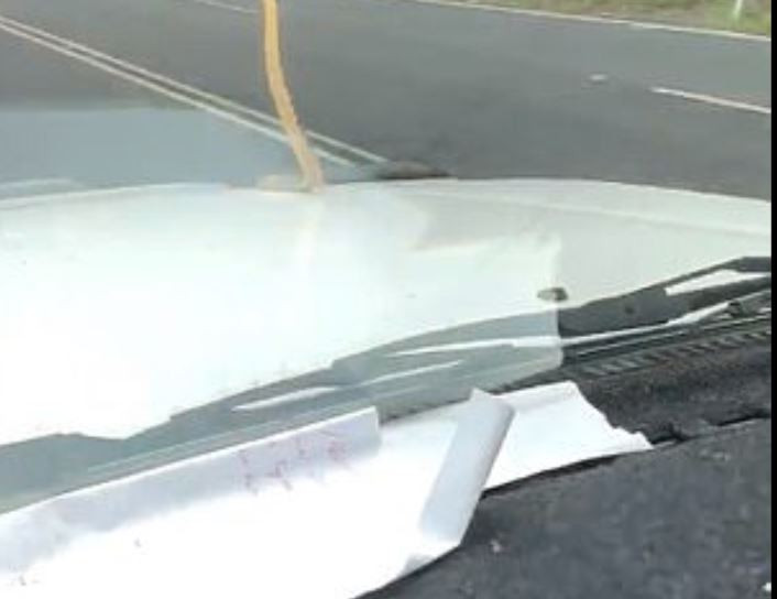 Familia a înlemnit. Ce a ieșit de sub capota unei mașini aflate în mers. VIDEO