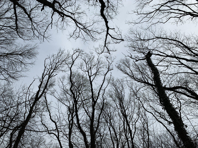 Vremea 20 aprilie 2019. Temperaturile coboară şi la -4 grade iar la munte ninge