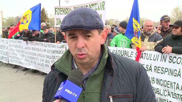 650.000 de hectare de pădure ar putea fi date Bisericii. Silvicultorii, revoltați