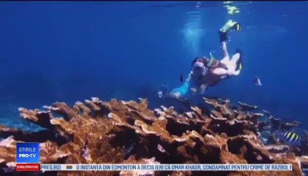 Staţiunea care a interzis cremele de protecţie solară. Medicii sunt îngroziţi