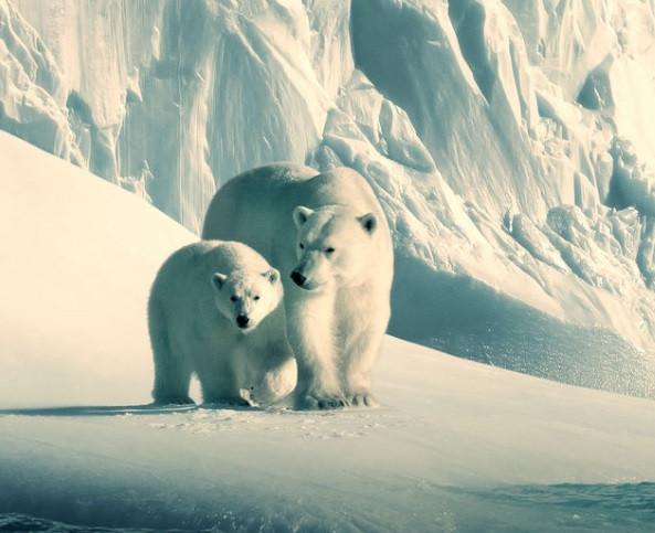 Proiect ambițios produs de Netflix în decursul a 4 ani de o echipă de 600 de oameni