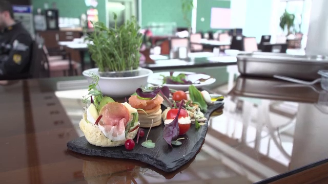 Liderii UE ar putea răbda de foame la summit-ul de la Sibiu. "Va încerca Merkel slăninuţa"