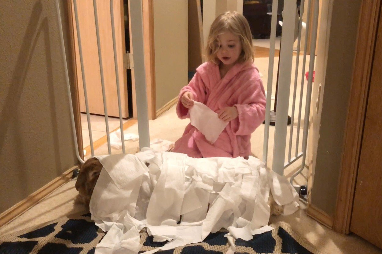 Un iepure gigant este cel mai bun prieten al unei fetițe de 3 ani. GALERIE FOTO