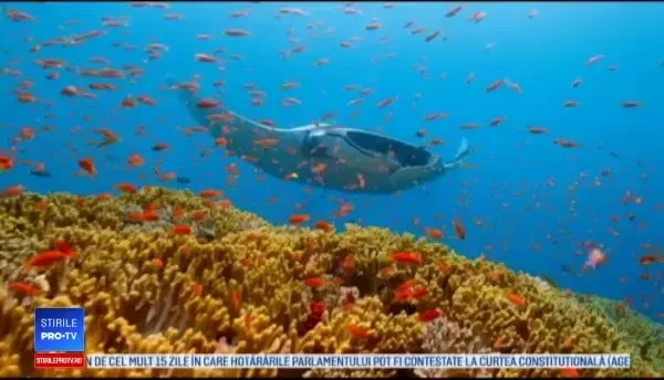 Proiect ambițios produs de Netflix în decursul a 4 ani de o echipă de 600 de oameni