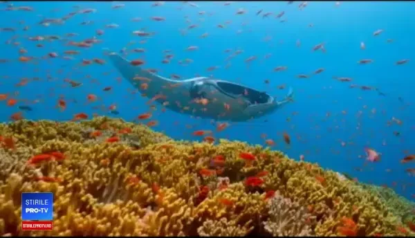 Proiect ambițios produs de Netflix în decursul a 4 ani de o echipă de 600 de oameni