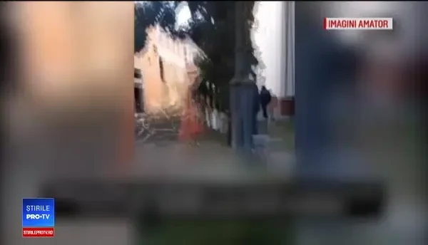 Copacul anului în România, ”masacrat” cu drujba. Reacția primarului