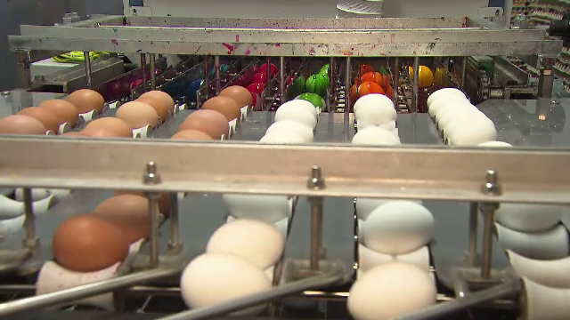 Mașina pentru vopsit ouă. Afacerea care i-a adus bani și faimă unui bărbat