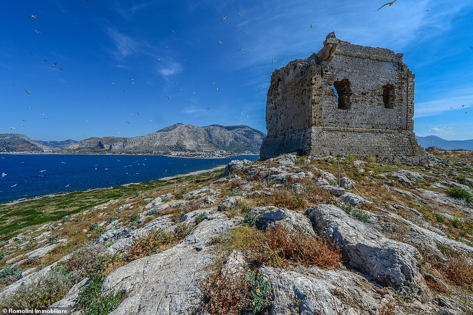 Romolini Immobiliare,