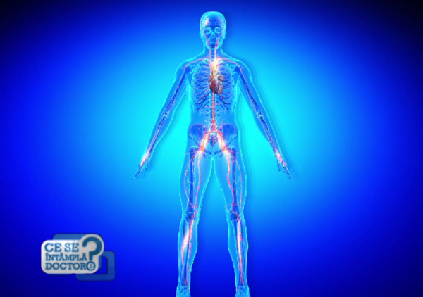 Ce este și cum prevenim ateroscleroza. Mersul alert și frunzele, cele mai bune medicamente