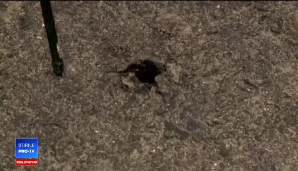 Dezastru ecologic în Deltă. Localnicii s-au îngrozit când au văzut ce iese din pământ