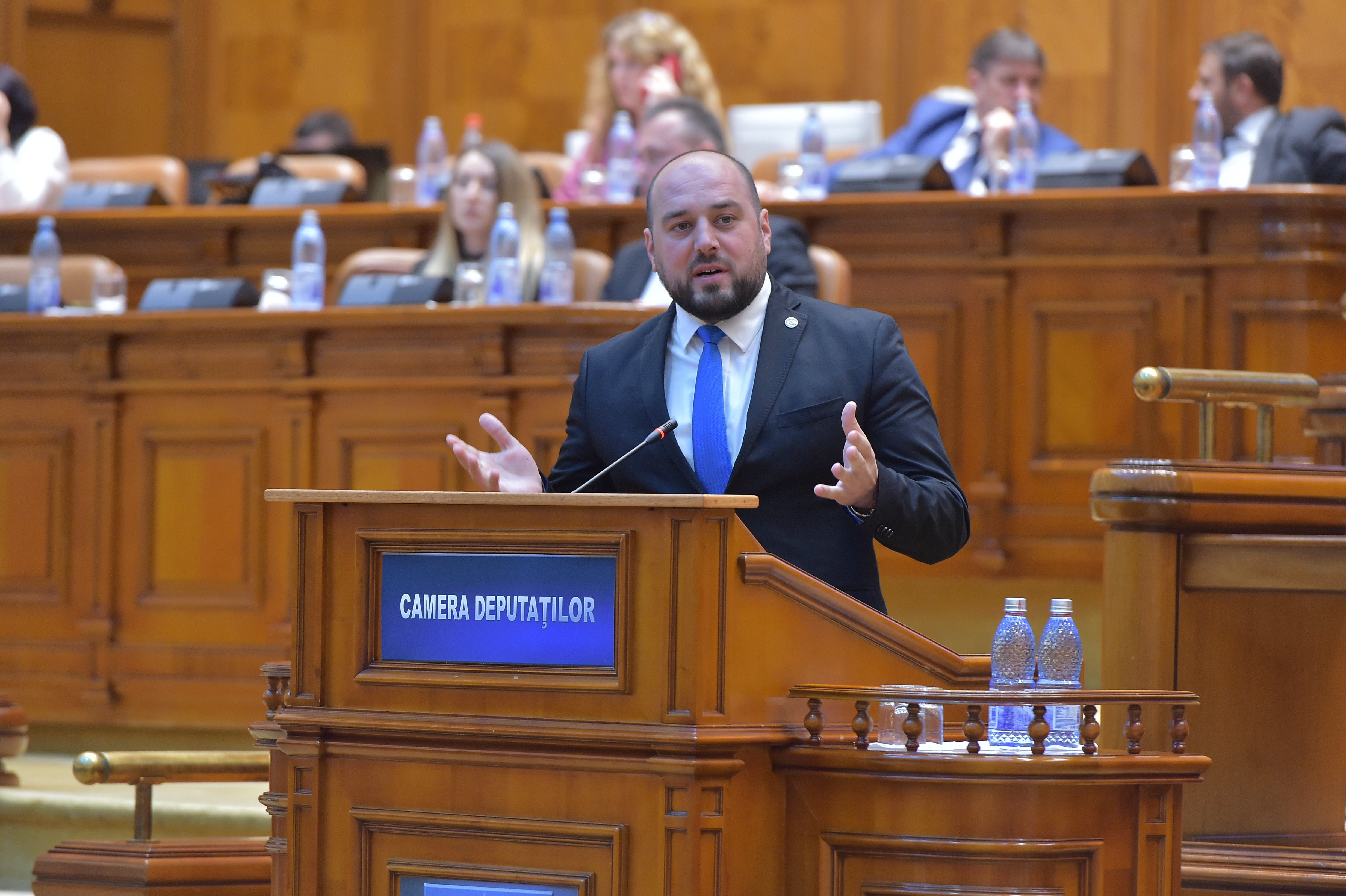 Ionuţ Simionca, PMP