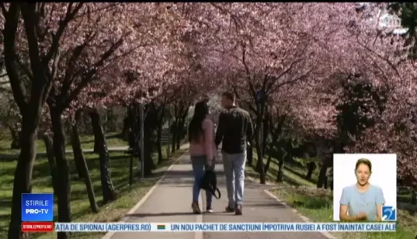 Cel mai fotografiat loc din Timișoara. Reacția unei turiste din Thailanda