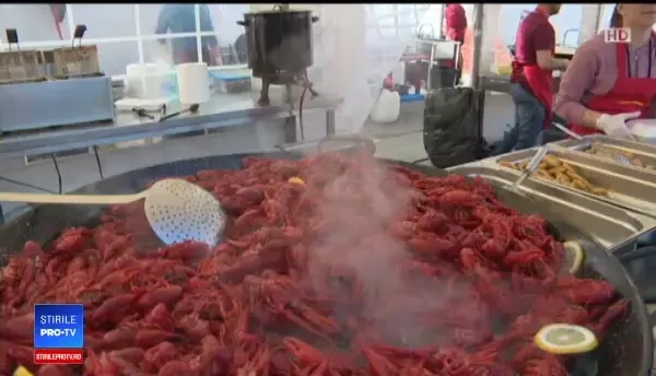 Festival al mâncărurilor mediteraneene din Târgu Jiu. Localnic: ”Eu iau un ciolan cu varză”