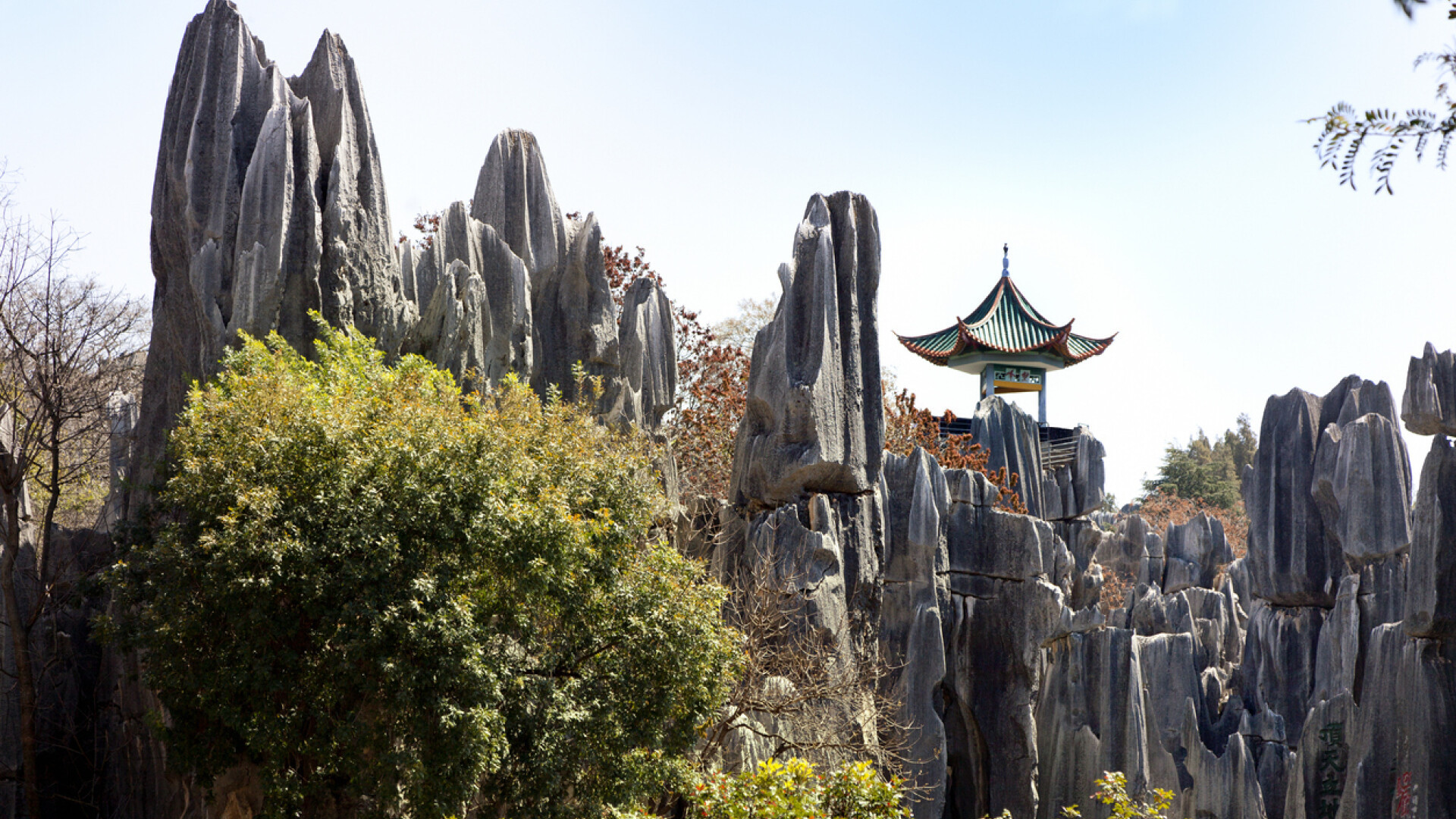 Cum arată Pădurea de Piatră. S-a format în urmă cu milioane de ani. GALERIE FOTO