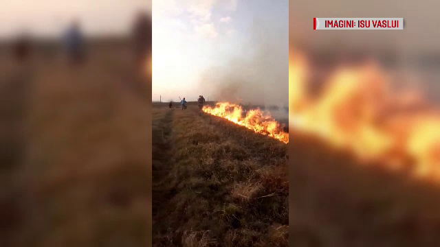 Prăpăd într-o localitate din Vaslui. Un localnic a dat foc la o pădure din greșeală