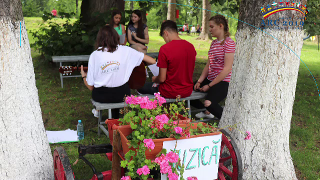 Tabere în țară pentru românii care trăiesc în străinătate. Cine se poate înscrie