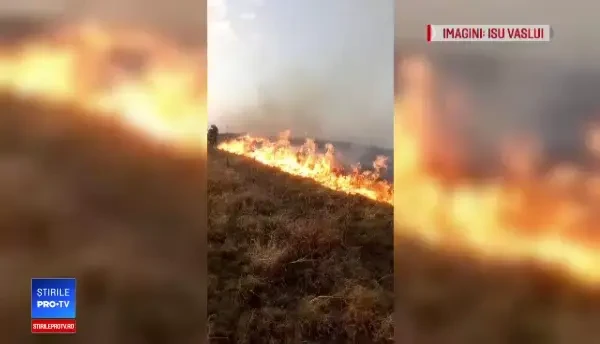 Prăpăd într-o localitate din Vaslui. Un localnic a dat foc la o pădure din greșeală