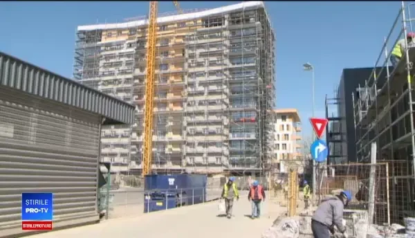 Motivul pentru care un crescător de oi caută ciobani străini: „Turci, maghiari, orice”