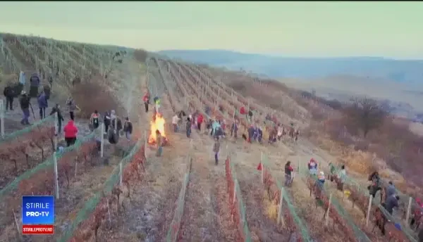 Vinul românesc cu o reţetă secretă