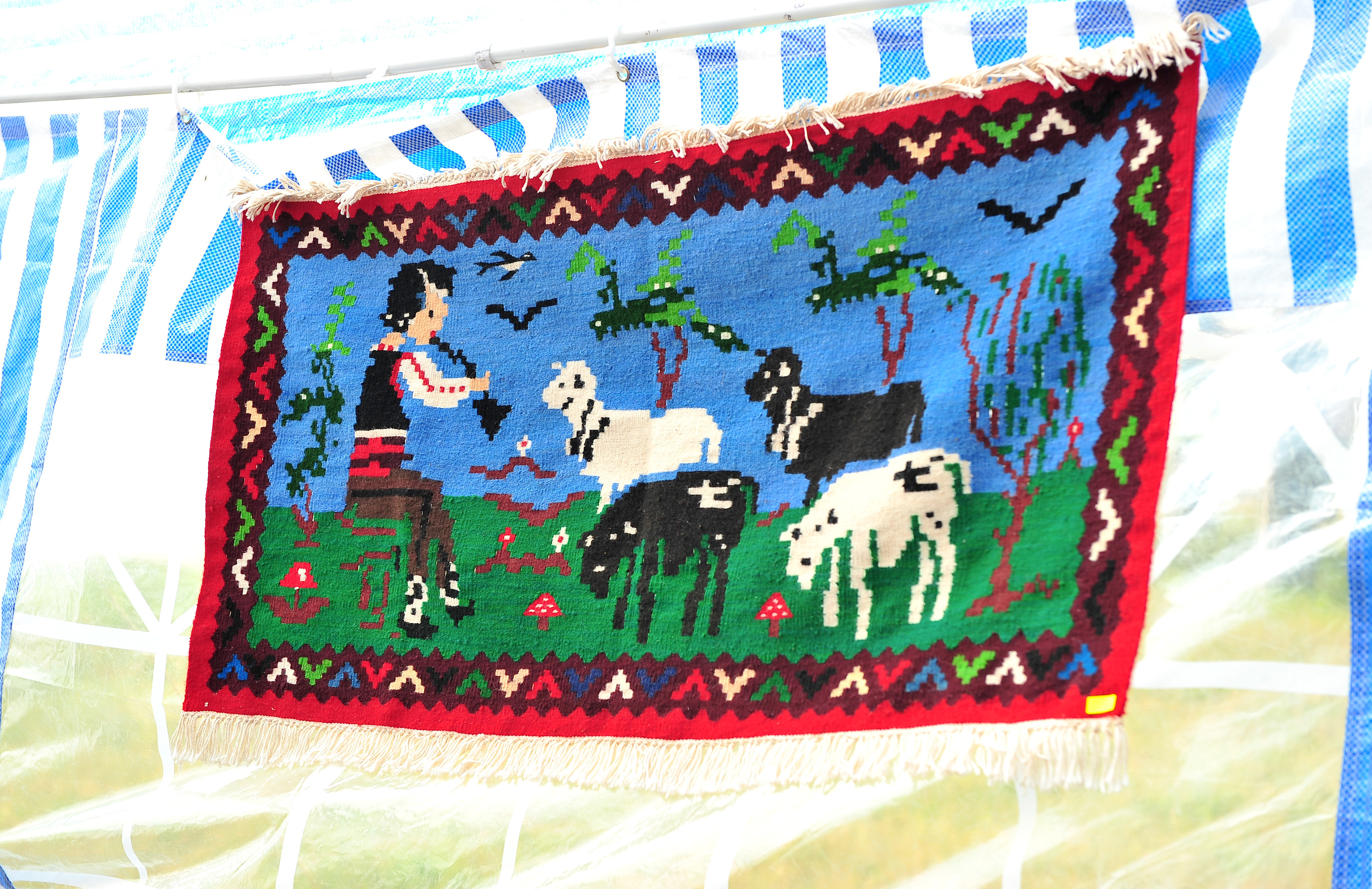 O tânără de 23 de ani a murit în timp ce spăla un covor. Greşeala comisă