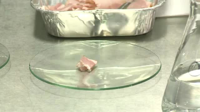 Inspectorul pro hormoni