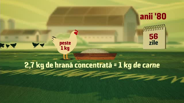 Inspectorul pro hormoni