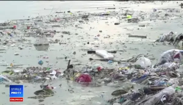 Restaurantele din România care folosesc farfurii comestibile. Reacţia clienţilor