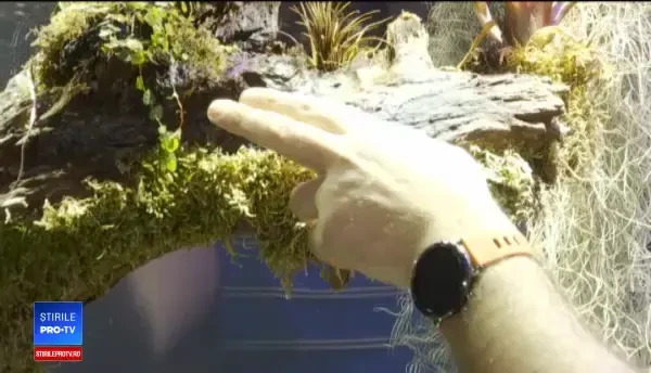 Birourile care îmbină natura cu munca. Microclimatele se îngrijesc singure