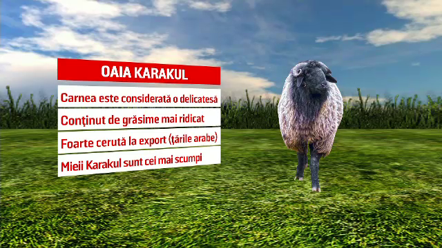 Povestea celui mai gustos miel de Paşte de la noi. A fost adus de tătari