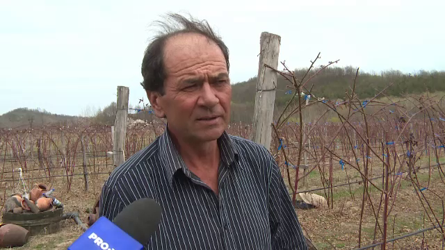 Cât vom plăti anul acesta pentru o caserolă de zmeură sau de afine. De vină este seceta