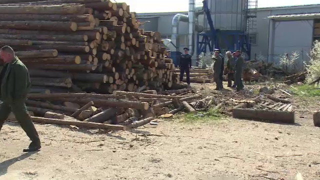 Percheziții cu scandal, la Târgoviște: „A venit un băiat să cumpere nişte lăturoaie”