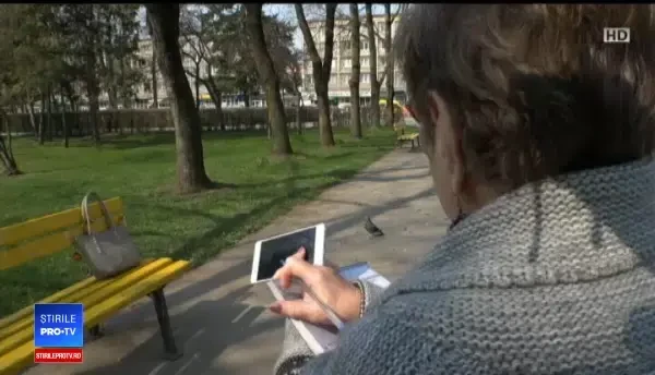 O asociație s-a apucat să numere ciorile din România. Vrea să afle unde fac probleme