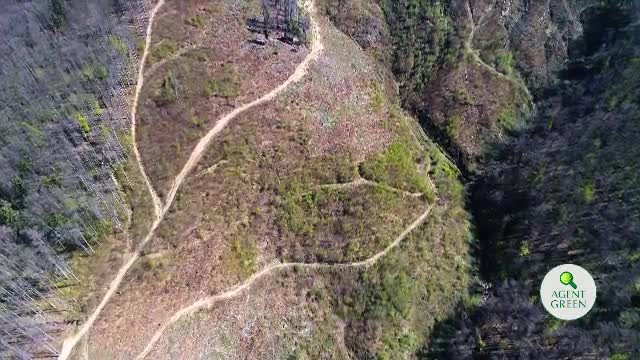 Activiștii acuză Guvernul Dăncilă că, în ultimii 2 ani, a distrus toate progresele făcute