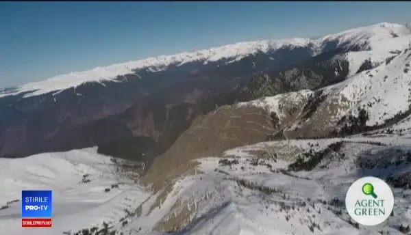 Activiștii acuză Guvernul Dăncilă că, în ultimii 2 ani, a distrus toate progresele făcute