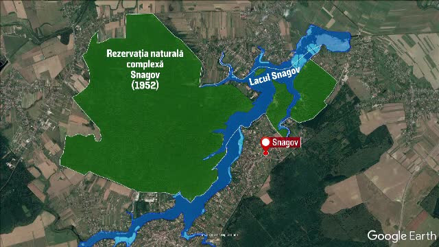 Rezervația naturală Snagov, distrusă pentru proiecte imobiliare. Cum se negociază