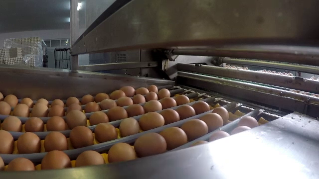 Recomandări pentru ouă proaspete şi miel gustos de Paşte. Ce trebuie să evităm