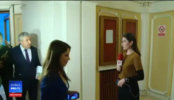 CCR a amânat decizia pe completurile de corupție. Argumentele aduse de Tarcea și Iordache