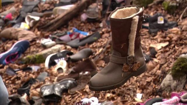 Fenomen „paranormal” într-o pădure. Proprietarul nu a găsit nicio explicație