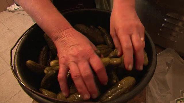 Pedeapsa primită de traficant din Suceava care ascundea droguri în brânză şi murături