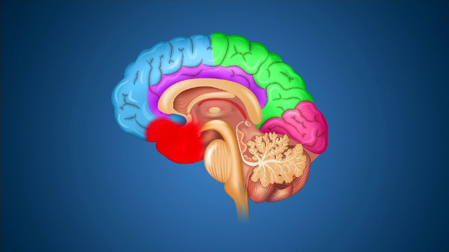 Maladia degenerativă mortală de care suferă tot mai mulți români. Primele semne ale bolii