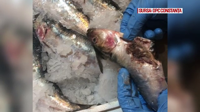 Imagini de groază în hipermarketurile din Constanța. Ce au găsit inspectorii OPC