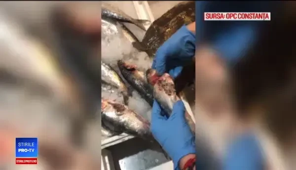 Imagini de groază în hipermarketurile din Constanța. Ce au găsit inspectorii OPC