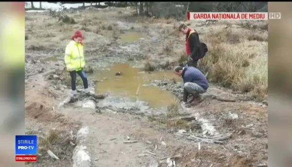 A fost identificat cel care masacra și vindea pui de baltă. Reacția Gărzii de Mediu