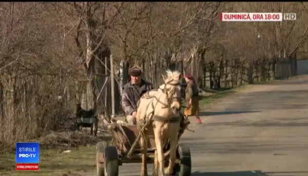 Vaslui, polul sărăciei din Europa. Ce s-a întâmplat cu un copil filmat de ProTV acum 12 ani